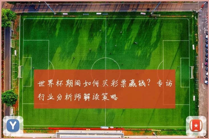世界杯期间如何买彩票赢钱？专访行业分析师解读策略