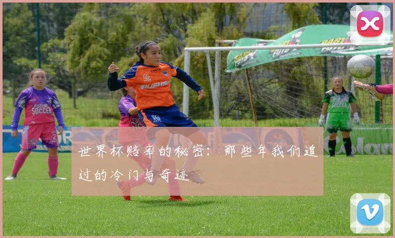 世界杯赔率的秘密：那些年我们追过的冷门与奇迹