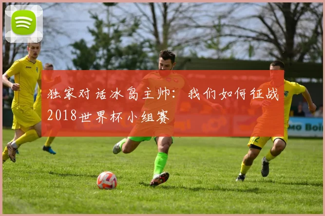 独家对话冰岛主帅：我们如何征战2018世界杯小组赛